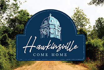 Hawkinsville 
