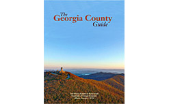 Georgia County Guide